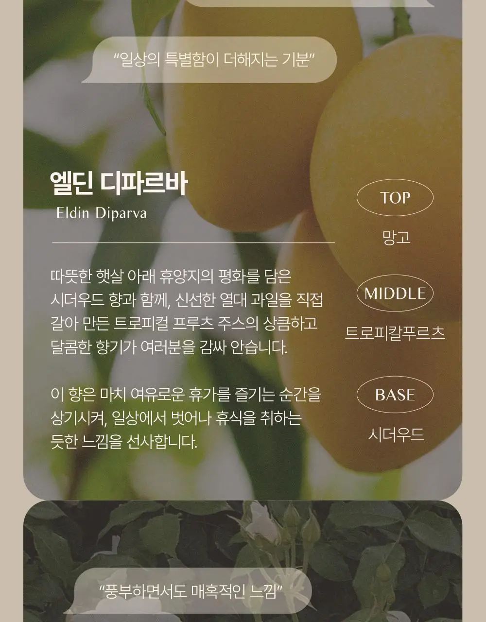 [대용량] 바디브 약산성 미용실 퍼퓸 샴푸 [비듬 가려움 개선] 5종 택 1 상세페이지 31